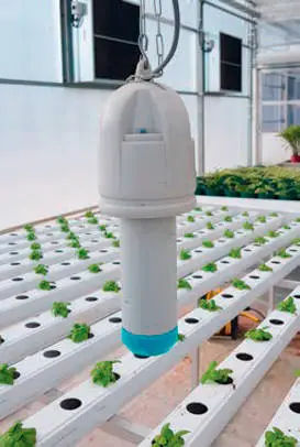 Sensor de temperatura y de humedad - GreenBox - Munters