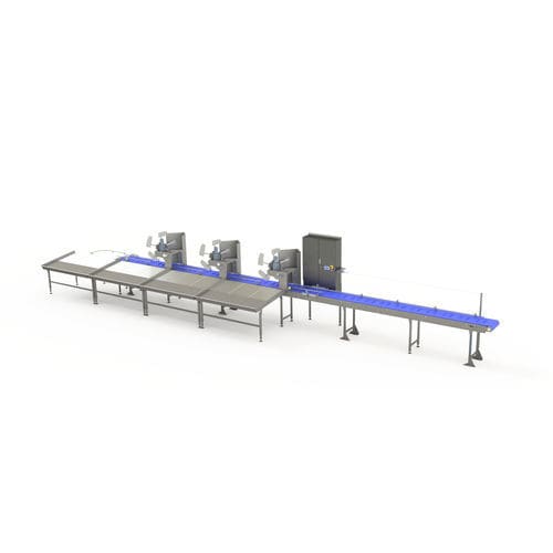 Sistema de clasificación para la industria agroalimentaria - ZTI smart machines - de banda