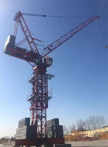 Grúa fija - CTL110(D4015) - Dahan Technology Co., Ltd. - de brazo amantillable / torre / para obra