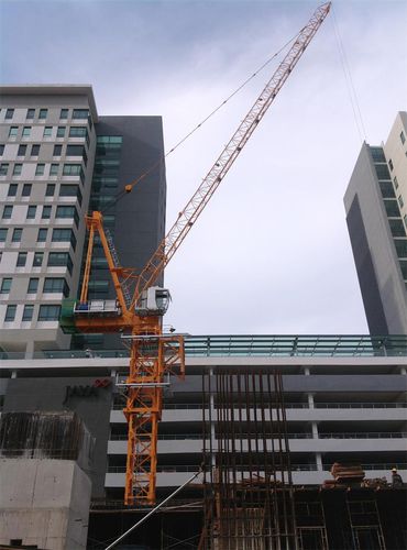 Grúa fija - CCTL140A(D5018A) - Dahan Technology Co., Ltd. - de brazo amantillable / torre / para obra