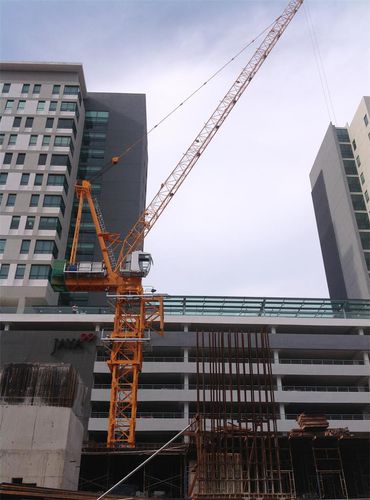 Grúa fija - CCTL220(D5523) - Dahan Technology Co., Ltd. - de brazo amantillable / torre / para obra