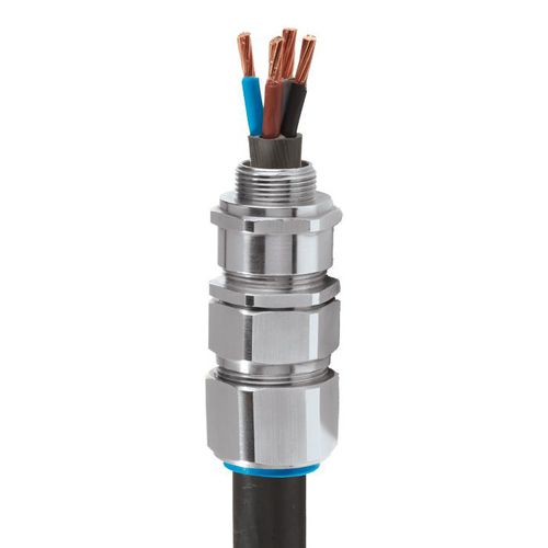 Prensaestopas de latón niquelado - E1W - CMP Products - de latón / de aluminio / IP66