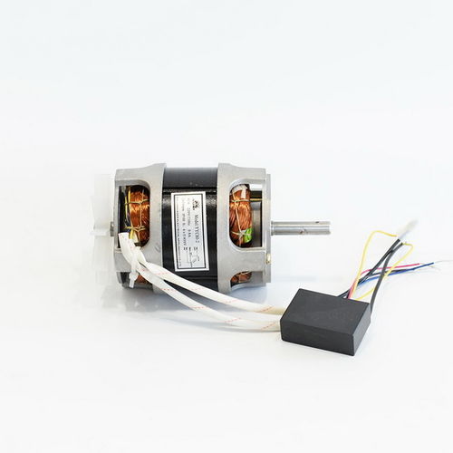 Motor de inducción - YYC80-2 two ways - Zhejiang Aoer Electrical Appliance Company - monofásico / 220V / con condensador