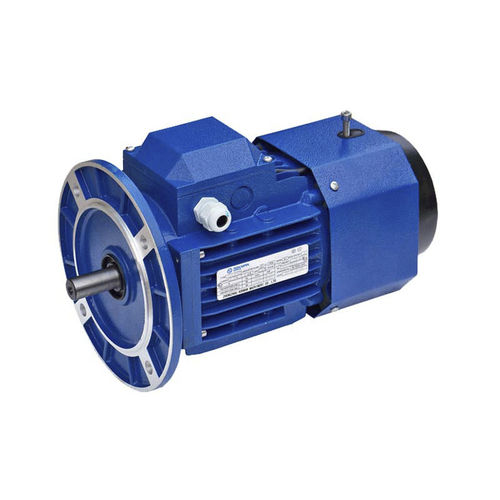 Motor de inducción - YEJ Series - Zhengzhou Aokman Machinery Co., Ltd. - DC / de aluminio / resistente al agua