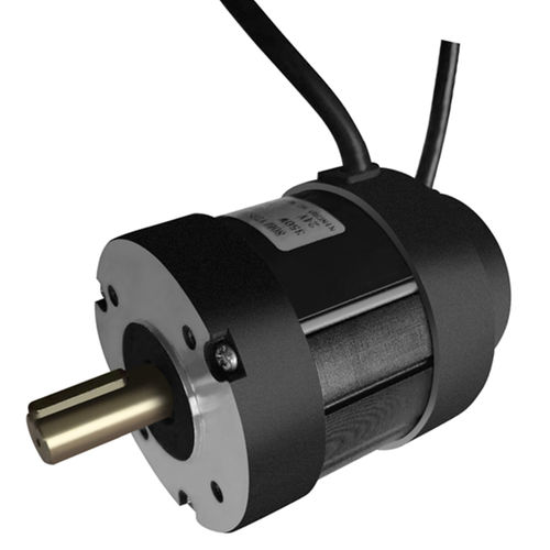 Motor brushless - Ningbo BG Motor Factory - DC / 36 V / para equipamiento médico