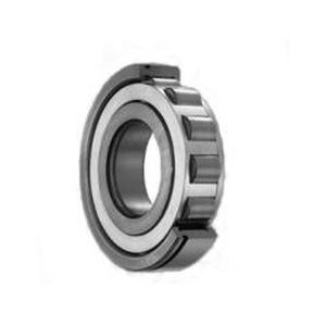 Rodamiento de rodillos - Yuyao Bote Bearing Co., Ltd. - de agujas / radial / de una sola hilera