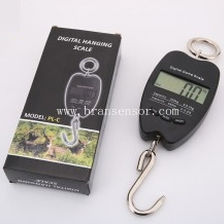 Balanza electrónica - Brans-PL series - Hefei Brans Measuring And Controlling Technology Co., Ltd. - comercial / digital / portátil