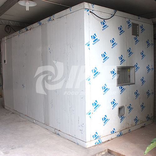 Deshidratador de alimentos encastrable - WRH-1200A - Guangdong IKE Industrial Co., Ltd. - para pescado / para hierbas / de acero inoxidable