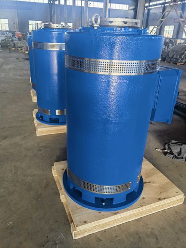 Motor vertical - HJZ 315 LB-4 T1V0 - Shanghai Electric Heavy Machinery Co., Ltd. - de inducción / trifásico / 400V