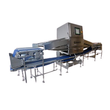 Sistema de escáneo de detección - FOTON-X 6040FP  - MSSPEKTRAL SAVUNMA SANAYİİ A.Ş. - de rayos X / para la industria agroalimentaria