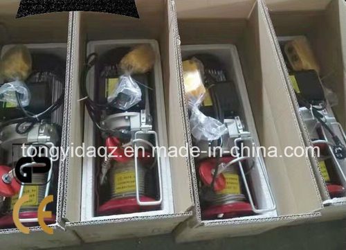 Polipasto de cadena eléctrico - PA  - Foshan Tongyida Lifting Equipment Manufacturing Co., Ltd. - miniatura