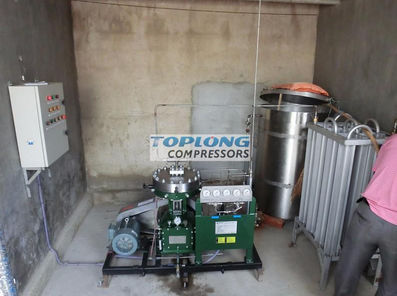 Compresor de diafragma - GL1-10/4-160 - Wenling Toplong Electrical & Mechanical Company - de nitrógeno / con motor eléctrico / estacionario