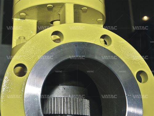 Válvula de seguridad con brida - Vatac Valves (Wenzhou) Corporation - diferencial