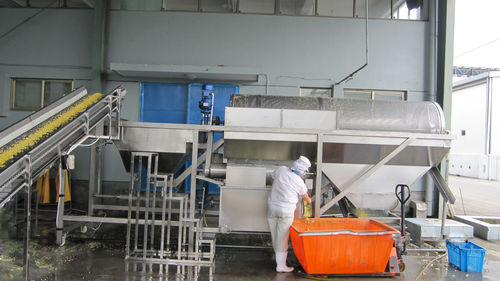 Lavadora de maíz - YXJ - SHAOXING WALLEY FOOD MACHINERY CO., LTD. - para guisantes