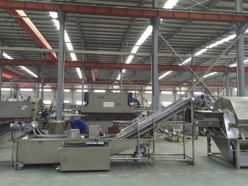 Lavadora agroalimentaria de banda - QXJ-D - SHAOXING WALLEY FOOD MACHINERY CO., LTD. - para champiñones / para pepinos / para fruta
