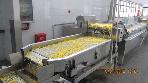 Secadora vibratoria - ZTS - SHAOXING WALLEY FOOD MACHINERY CO., LTD. - de hortalizas / con transportador de cinta