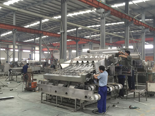 Calibradora para langostinos - XSJ-12/18 - SHAOXING WALLEY FOOD MACHINERY CO., LTD.