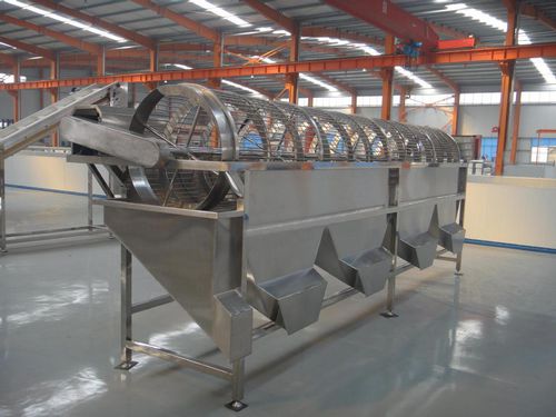 Calibradora para champiñones - OSJ-5 - SHAOXING WALLEY FOOD MACHINERY CO., LTD. - para lichis / para longán / de malanga