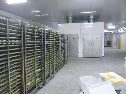 Túnel de secado para la industria agroalimentaria - HGS series - SHAOXING WALLEY FOOD MACHINERY CO., LTD.