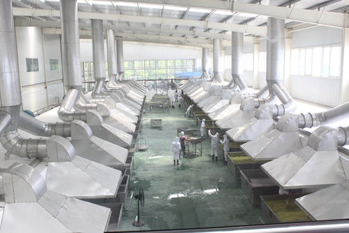 Secador de hortalizas - HGX Series - SHAOXING WALLEY FOOD MACHINERY CO., LTD.