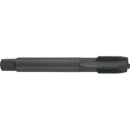Macho de roscar para orificios de paso - G550 - Carmon - para agujeros ciegos / HSS/HSCO / para acero