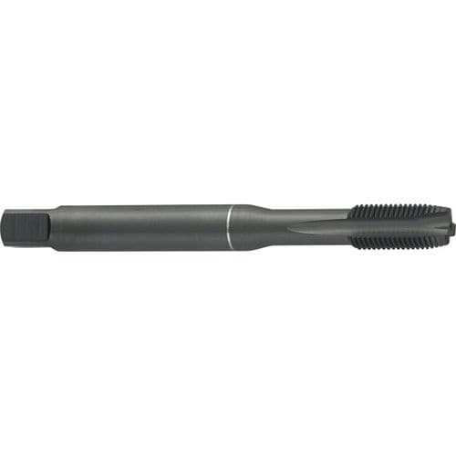 Macho de roscar para orificios de paso - UNF562       - Carmon - para agujeros ciegos / HSS/HSCO / para acero