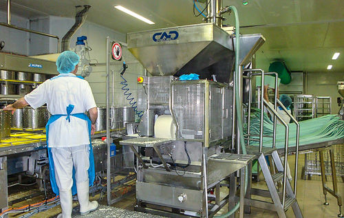 Máquina de salazón para queso - SAT - CAD PROJECT S.R.L.