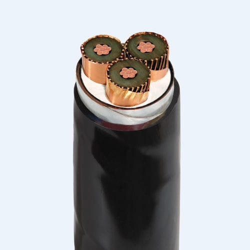 Cable eléctrico de alimentación - CXV/SEhh/DSTA-W - Thinh Phat Cables Joint Stock Company - aislado / blindado / con pantalla de cobre
