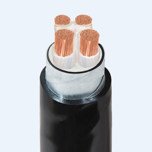 Cable eléctrico para aplicaciones de baja tensión - CXV/DSTA - Thinh Phat Cables Joint Stock Company - de alimentación / aislado / blindado