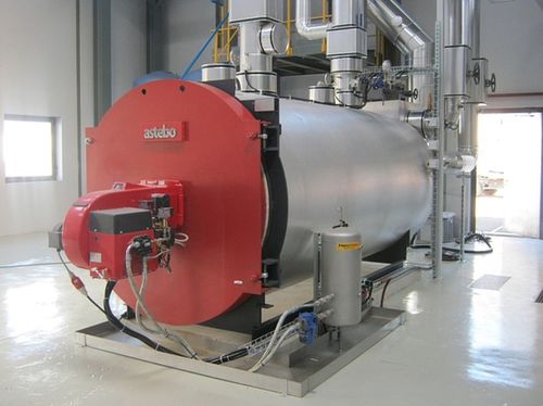 Caldera de vapor - THW-I-NTE - astebo gmbh - de gas natural / de biogás / de tubos de humo
