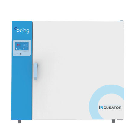 Incubadora de laboratorio - BI series - SHANGHAI BLUEPARD INSTRUMENTS CO.,LTD - de convección forzada / de convección natural / calefactora
