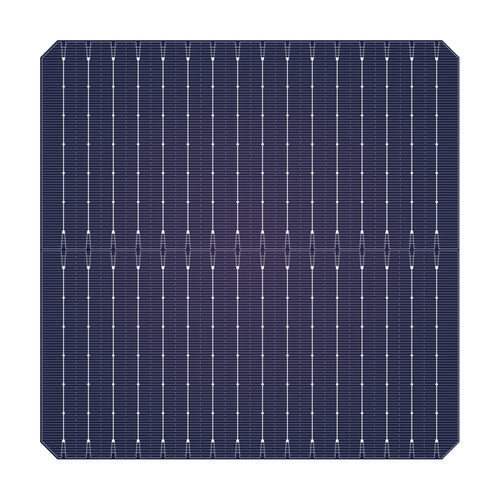 Celda solar de alto rendimiento - M10-16BB - Jiangsu Runda PV Co.,Ltd