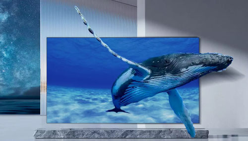 Pared de vídeo con para uso con LED - LEDPLAY - Ledman Optoelectronic Co., Ltd