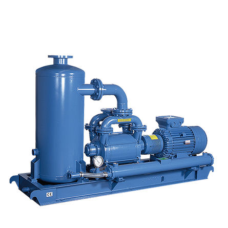 Grupo de vacío con bomba de anillo líquido - KRVS series - ROBUSCHI - para la industria química / compacto