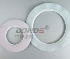 Junta de grafito - ZD-G1700 - cixi zonde sealing and gasket.co.,Ltd - de caucho / de PTFE / de PVC