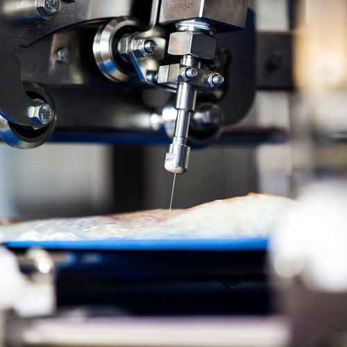 Extractora de espinas automática - FleXicut - JBT Corporation