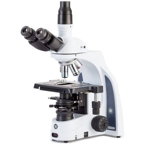 Microscopio óptico - iScope series - Euromex - para la investigación / metalúrgico / recto