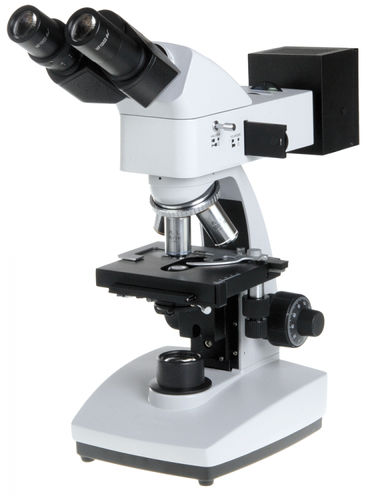 Microscopio óptico - B+ series - Euromex - para la investigación / recto / binocular