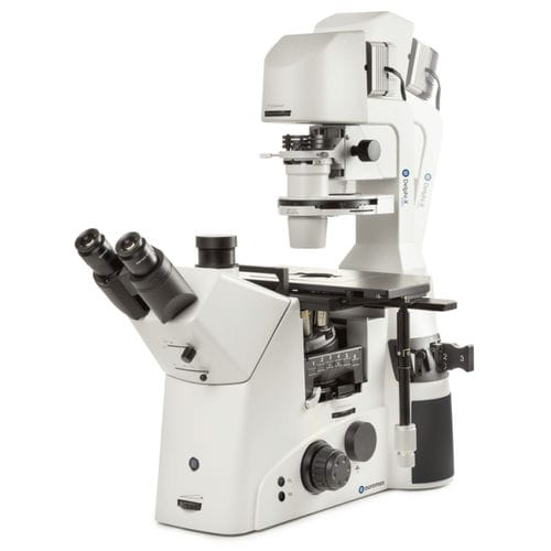 Microscopio óptico - Delphi-X Inverso series - Euromex - industrial / invertido / trinocular