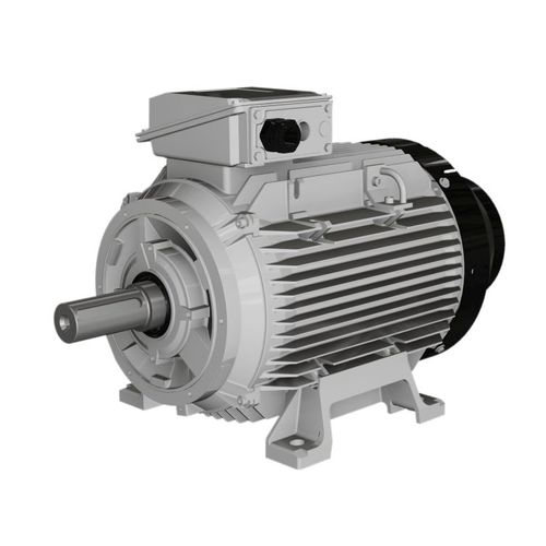 Motor asíncrono - W series - Wolong Electric Group - con carcasa de fundición / IP55 / IP65