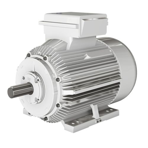 Motor asíncrono - BD series - Wolong Electric Group - monofásico / con carcasa de fundición / IP55