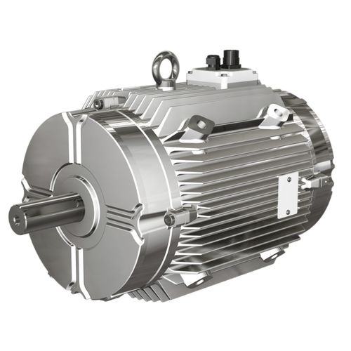 Motor controlado por variador de frecuencia - W FUMEX® series  - Wolong Electric Group - asíncrono / trifásico / con carcasa de fundición