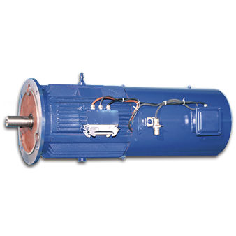 Motor asíncrono - Jiang Su Weiteli Motor Co.,Ltd - IP56 / de orientación de aerogenerador / de alto rendimiento
