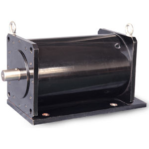 Motor de inducción - WTGSDJ series - Jiang Su Weiteli Motor Co.,Ltd - refrigerado por agua / para vehículo eléctrico / RS-485