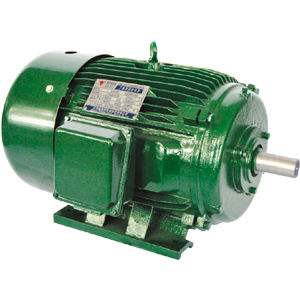Motor NEMA - Jiang Su Weiteli Motor Co.,Ltd - asíncrono / controlado por variador de frecuencia