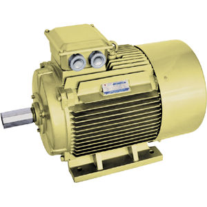 Motor de alto rendimiento - YE series - Jiang Su Weiteli Motor Co.,Ltd - síncrono / 380V / IP54