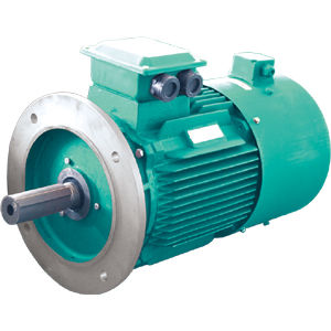 Motor controlado por variador de frecuencia - YVF2 series - Jiang Su Weiteli Motor Co.,Ltd - de inducción / trifásico / IP54