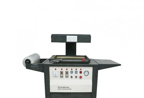 Máquina de embalaje automática - DZT-540 - Qingdao Ausense Packing Equipment Co., Ltd. - de vacío