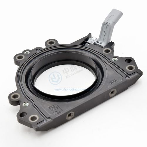 Junta de labio - ANHUI ZHONGDING SEALING PARTS CO.,LTD - de plástico / de PTFE / circular