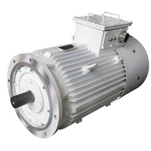 Motor par para tuneladora - Dalian Dalmo Electric Motor Co. Ltd - asíncrono / trifásico / 380V